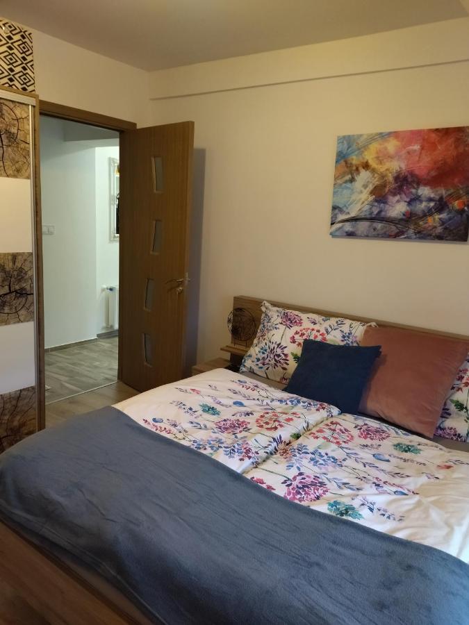 Valentin Apartman Makó Exterior foto